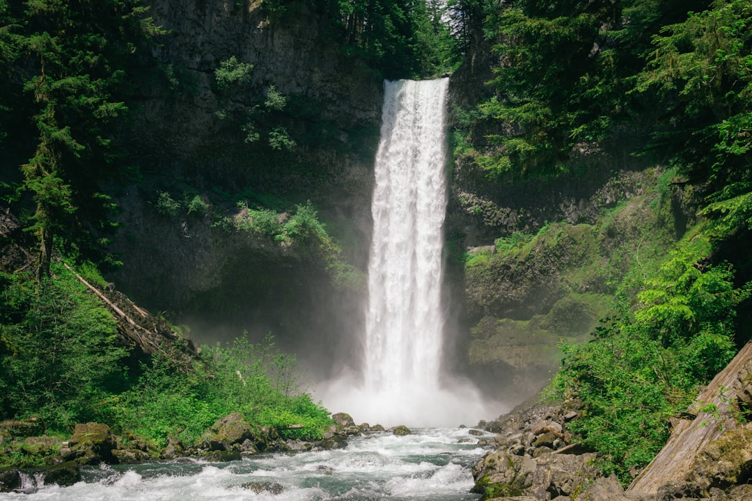 Eco-Friendly Escapes: Sustainable Outdoor Adventures for the Conscious Traveler